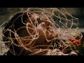 Nick Dino DO I KNOW Official Music Video