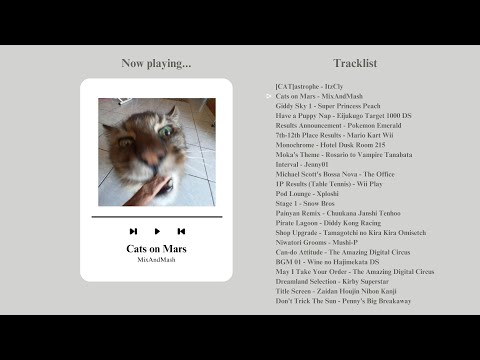 Slily Fnnuy Playlits to Becmoe Dyslxeic