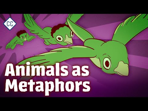 Animals & Shapeshifters: Crash Course Latin American Literature #10