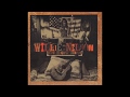 Willie Nelson - Fool's Paradise