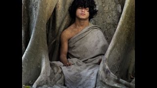 15 year old Yogi. No eat, no drink, no sleep... Only Meditation!