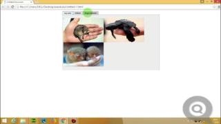 Dreamweaver CS6 Öğreniyorum Ders28 Spry Tabbed Panels ile sekmeli panel oluşturmak