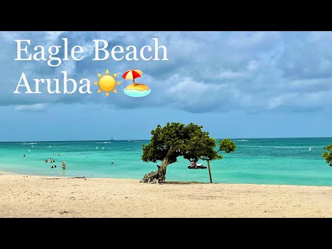 [4K HDR] Morning Aruba Walk in Low Rise Hotel and Eagle Beach. ☀️🌵🇦🇼
