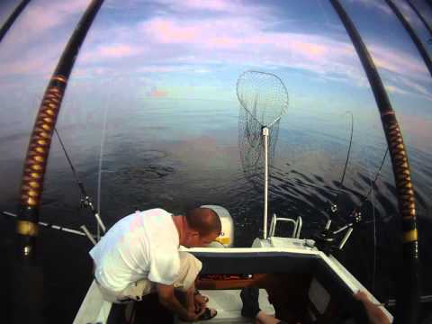 Lohen uistelua Raahessa, testi 2