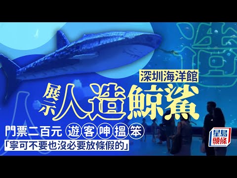 人造鯨鯊｜深圳海洋館展人造鯨鯊 遊客喊退票｜中國｜深圳｜鯨鯊｜水族館｜人造機械魚｜小梅沙｜星島頭條新聞
