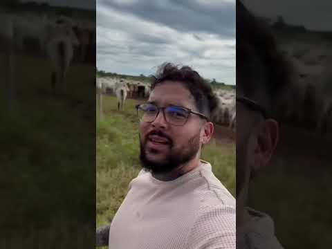 FAZENDA VILA BOA/GO DE 2.800 HECTARES