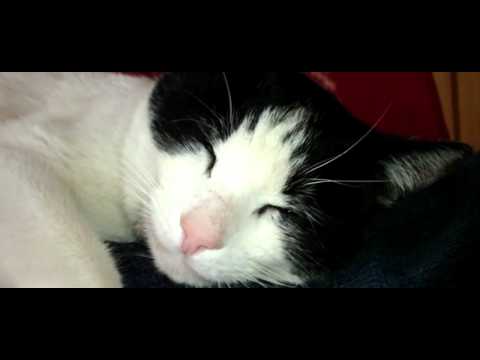 Praktica 5.4 FHD - HD test