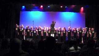 Someone like you - Brighton and Hove Rock Choir Summer Show 2014