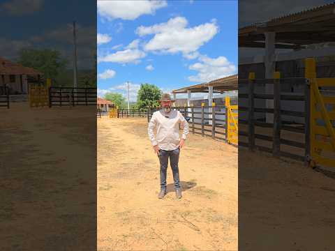 Fazenda Jataúba-PE, medindo 155 hectares, Valor R$ 599.000,00.