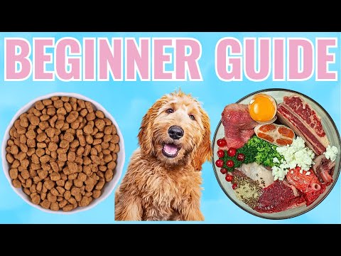🥩 RAW DOG FOOD For Beginners 2026 - From Kibble To Raw!