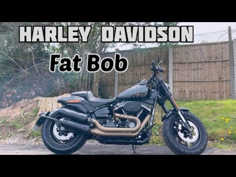 2023 Harley-Davidson fat bob review. Should you buy a Harley Davidson? The best cruiser?