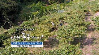 [나는농부다 221회 예고] 열혈초보농부 수진 씨의 꾸지뽕 정복기