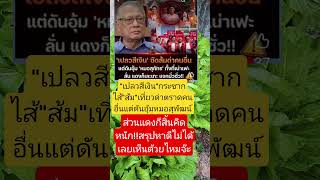 Download lagu #remix #dj #edm #music #sound #automobile #food #colonelkkjϟ #thaifood mp3