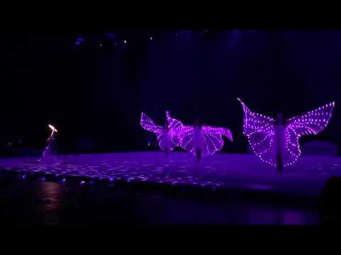 The Light  Crew-  Aurora