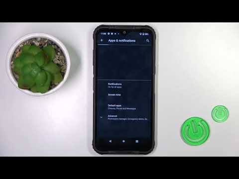 How to Reset App Preferences on Hammer Blade 3