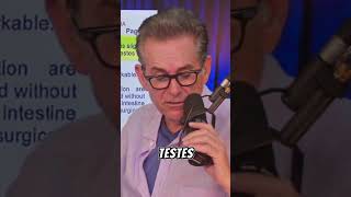 He's ALIVE! New Developments In #epsteinfiles Saga PROVE That Wasn't His Body!