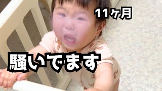 11ヶ月ベビー、どうやら言いたいことがあるそうです