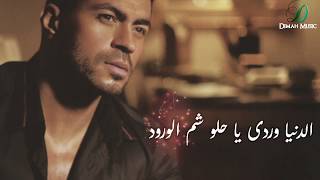 كلمات اغنية الدنيا وردي خالد سليم