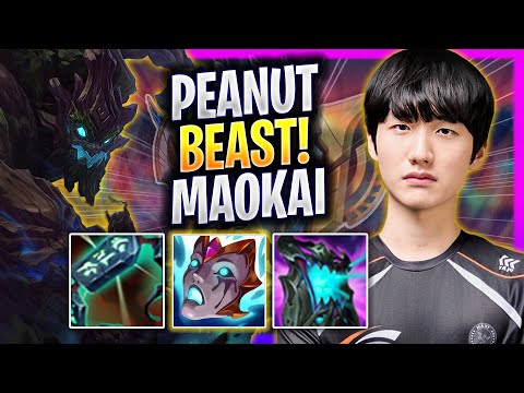 PEANUT IS A BEAST WITH MAOKAI! - HLE Peanut Plays Maokai TOP vs Talon! | Season 2025