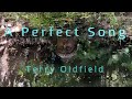 A PERFECT SONG ... Terry Oldfield