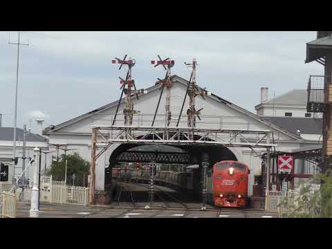 Rare Daylight SSR grain train through Ballarat. Sunday 13/2/2022