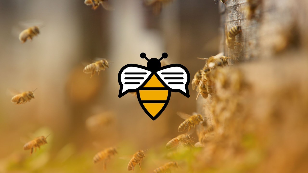 Bee Talks with Bill Hesbach • March 2026