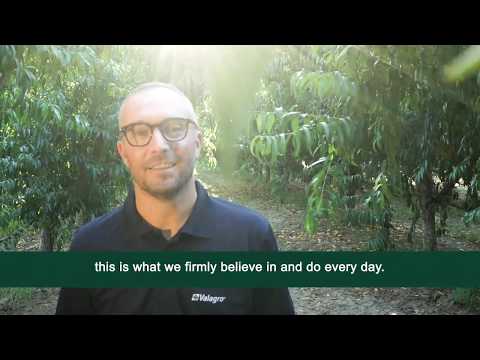 Talete, the value of every single drop