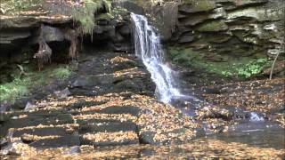 preview picture of video 'Dry Run Falls, Hillsgrove, PA'