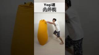 Yogi道
