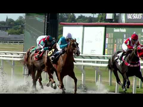 221223 c03 KIWI (BRZ)