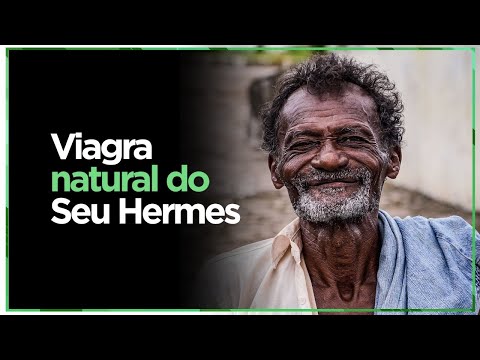 REMÉDIOS NATURAIS | Hermes Raizeiro e suas plantas medicinais - Ruy Barbosa/BA - EP. 06 de 06