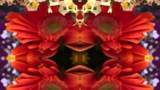 I Wish It Would Rain (by Rodney Crowell live in Dublin in 2004)