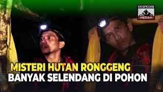 Download lagu Menelusuri Hutan Ronggeng, Misteri Selendang Di Tiap Pohon | Ekspedisi Merah Eps 16 Full mp3