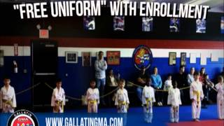 preview picture of video 'Gallatin Martial Arts'