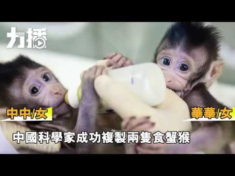 「用於醫學不會複製人類」