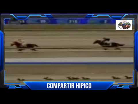 QUIEN SE CONVERTIRIA EN EL MEJOR PADRILLO DEL HIPISMO NACIONAL// KING SERAF.