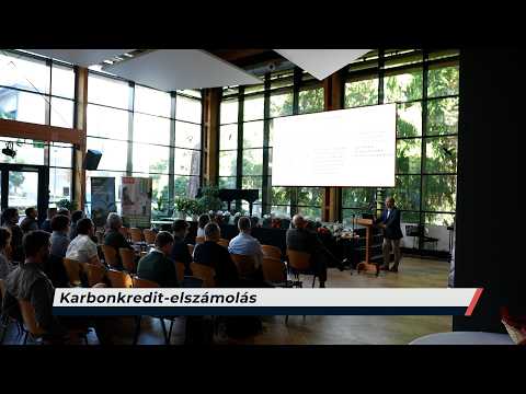 Híradó – 2026.10.28. – Szerda