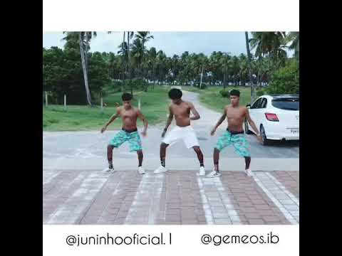 PASSINHO DOS MALOKAS - MÚSICA: ME BOTA - MC ELVIS E MC LUCY