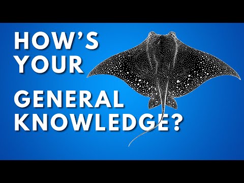 Can You Answer? | 100 Questions General Knowledge Trivia Quiz