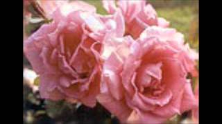 ROSE OF TRALEE---FOSTER AND ALLEN