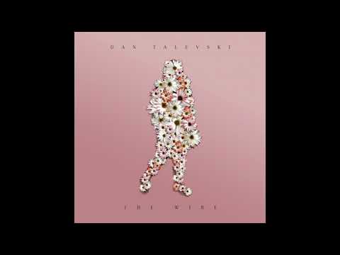 Dan Talevski - The Wire