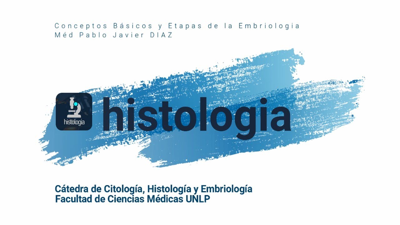 Conceptos Básicos y Etapas de la Embriologia