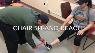 FLEXIBILITY ASSESSMENT