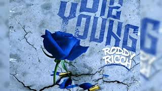 Cover art for die young instrumental