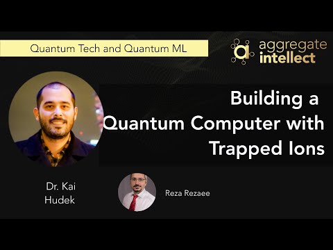 Building a Quantum Computer with Trapped Ions