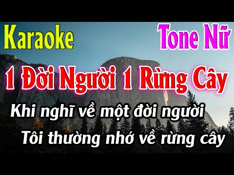 Một Đời Người Một Rừng Cây Karaoke Tone Nữ ( Dm ) Karaoke Lâm Organ
