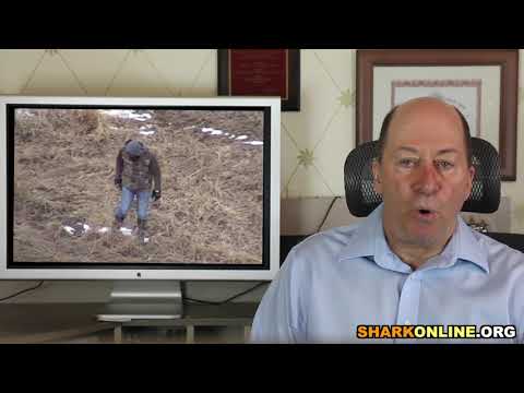 download lagu mp3 mp4 Companies That Abuse Animals, download lagu Companies That Abuse Animals gratis, unduh video klip Companies That Abuse Animals