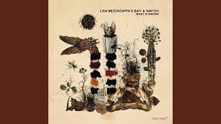 Lick My Decals Off, Baby