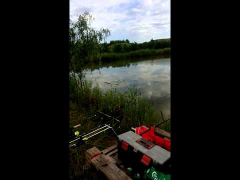 Valea Cucului 2015   Pescuit la crap1