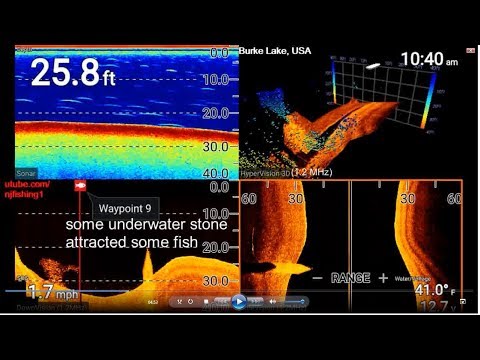 Raymarine Element 7" Mega Imaging HV100 (4 sonars in 1 screen) of Burke Lake underwater world Raymarine Element 7" Mega Imaging HV100 (4 sonars in 1 screen) of Burke Lake underwater world